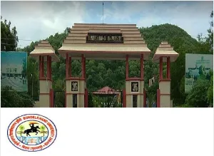 Bundelkhand University, Jhansi