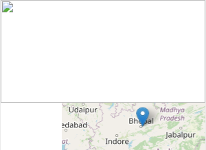 Madhyanchal Professional University