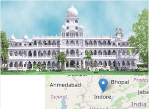 Maharaja Ranjit Singh College of Professional Sciences