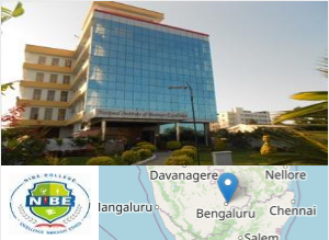 National Institute of Business Excellence