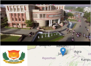 Image of School of Distance Education and Learning, Jaipur National University college campus