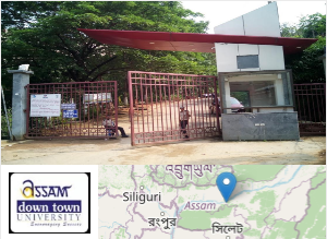Image of Assam Down Town University college campus