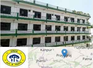 Image of Shambhunath Group of Institution college campus