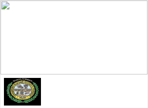 Vishwanathrao Deshpande Institute of Technology