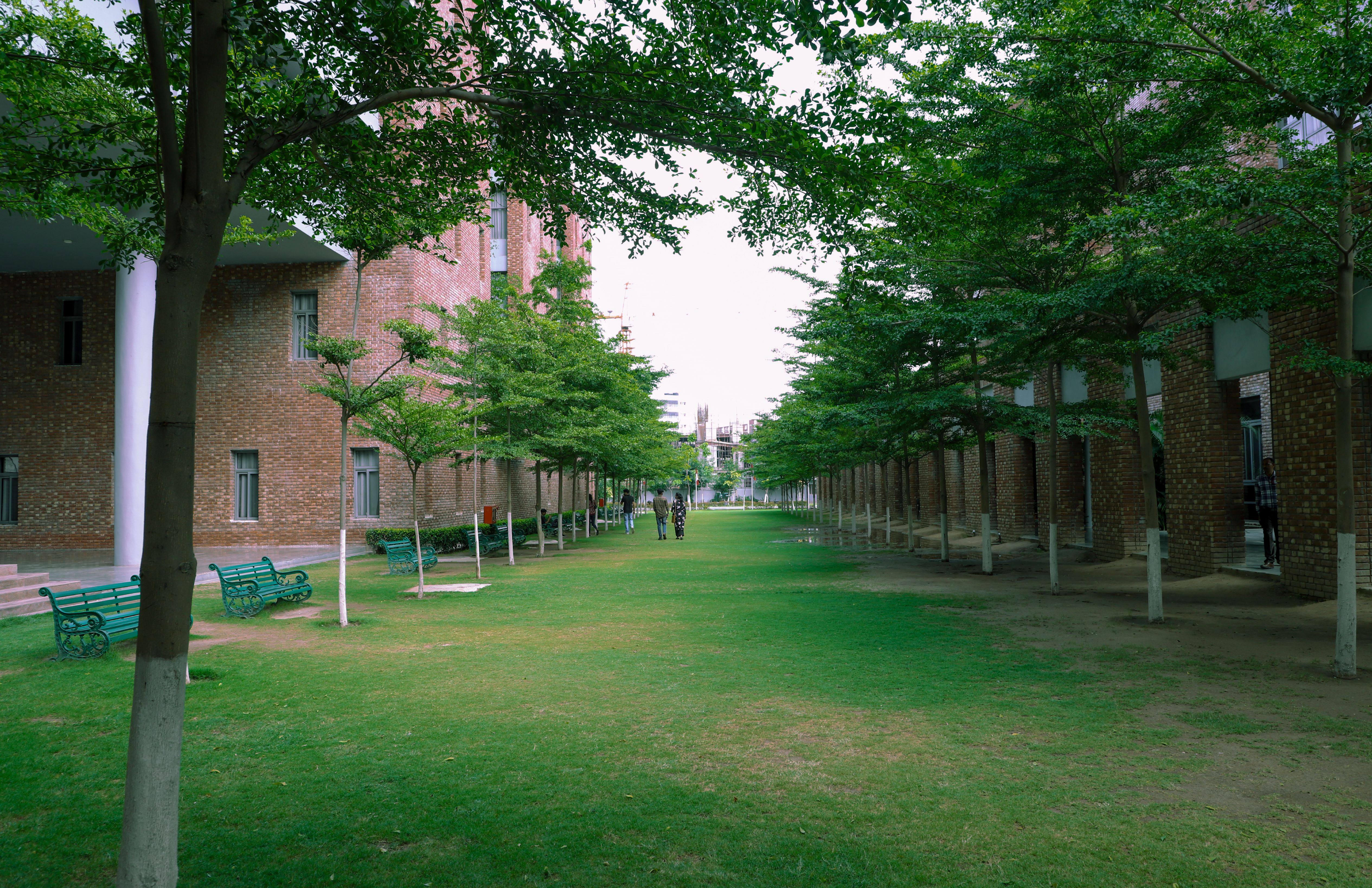 Chandigarh University Campus