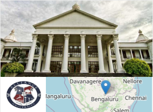 Alliance Ascent College, Alliance University