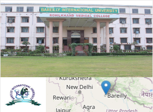 Image of Bareilly International University college campus