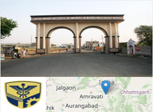 Datta Meghe Institute of Higher Education and Research (Deemed to be University)