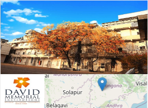 David Memorial Business School