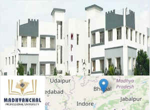 Madhyanchal Professional University