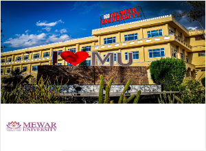 Mewar University