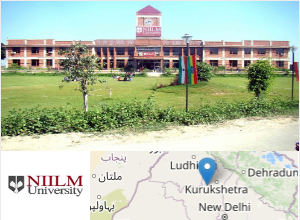 NIILM University