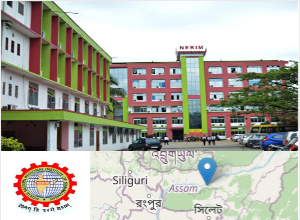 North Eastern Regional Institute of Management