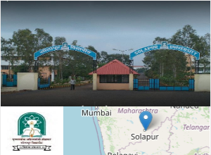 Punyashlok Ahilyadevi Holkar Solapur University