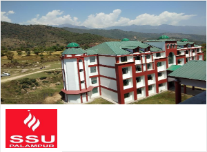 Sri Sai University