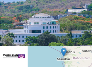 Whistling Woods International