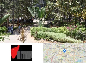 Impact Institute of Management Studies Campus Image
