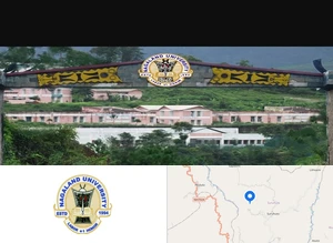 Nagaland University, Lumami (NU)