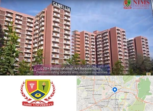 NIMS Institute of Management and Commerce, NIMS University
