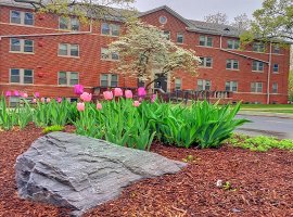 Messiah College Campus Image